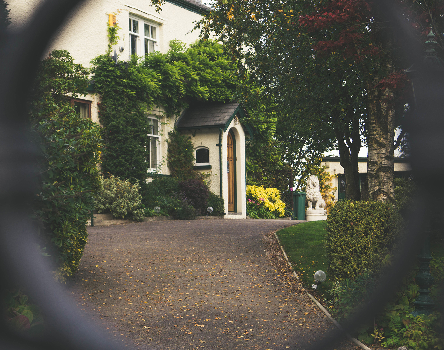 Photo of white stucco home with vine growing over door